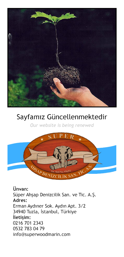 Wood-Marin is under construction